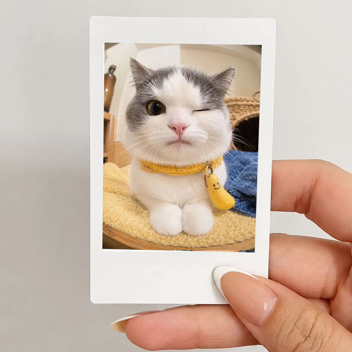 1/3/5Pcs Custom Photo Prints,  - Photographic Memory 评论和价格